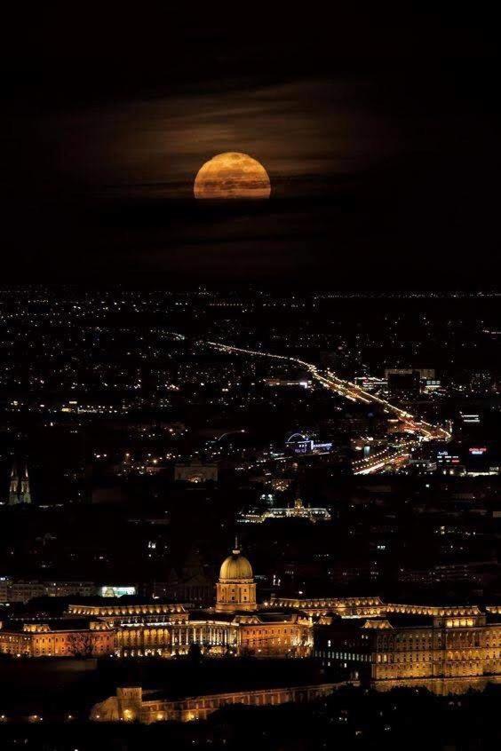 Artemisia Luxury Apartments Jardin Budapest Bagian luar foto